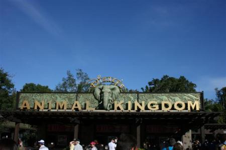 animal-kingdom
